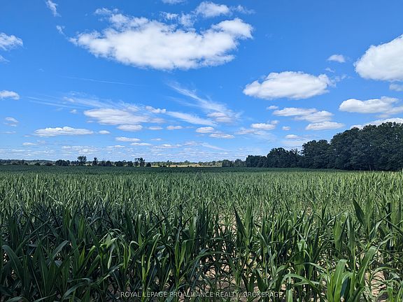 2nd image of 2622 4th Concession Rd