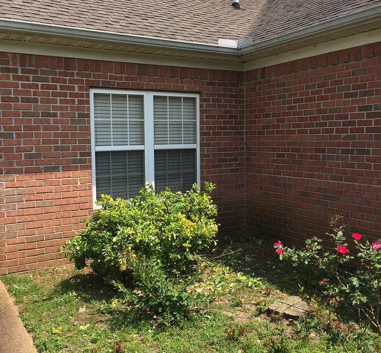 115 Henderson Road — Photo 3