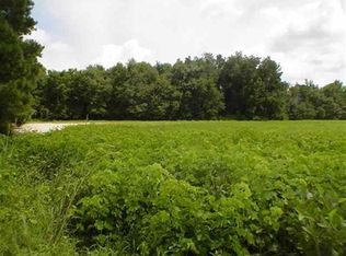 6601 Pygatt Rd, Effingham, SC 29541