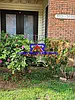 3021 Chase Ln