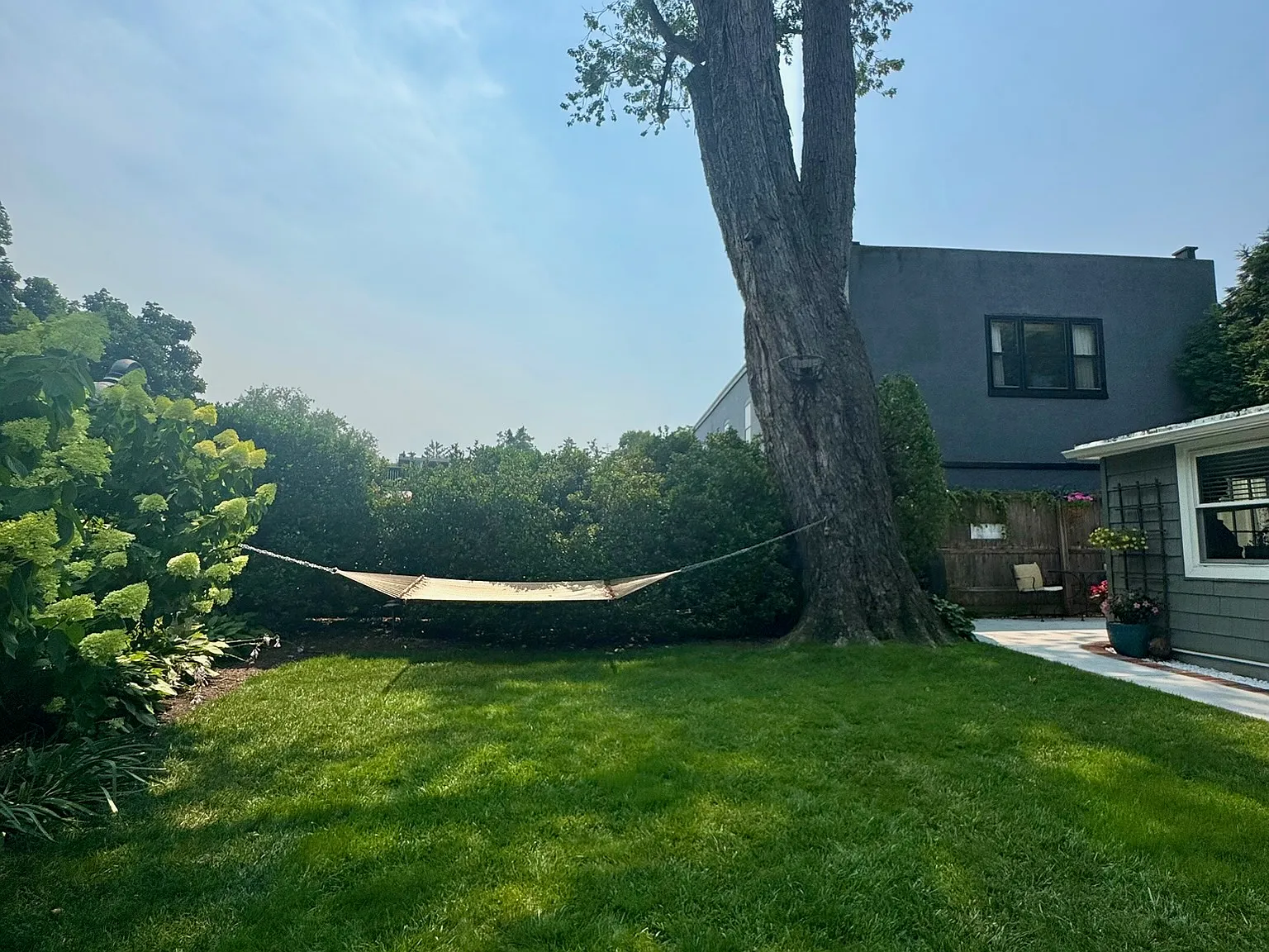 1 bed, 1000 sqft, $3,500 — Photo 2