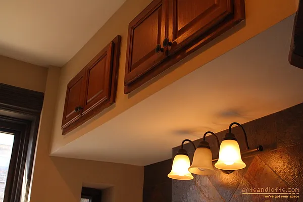 Rented by aptsandlofts.com | media 20