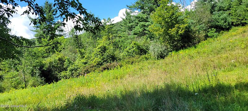 4th image of 599 Lewis Hollow Road