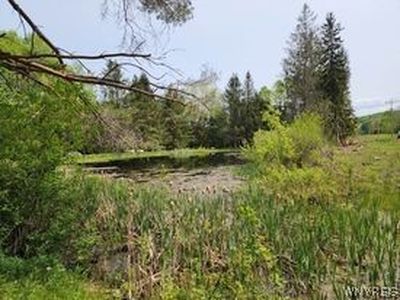 12 Gray Buck Rd #8, Franklinville, NY, 14737