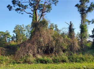 438 W Waterway Ave NW, Lake Placid, FL 33852