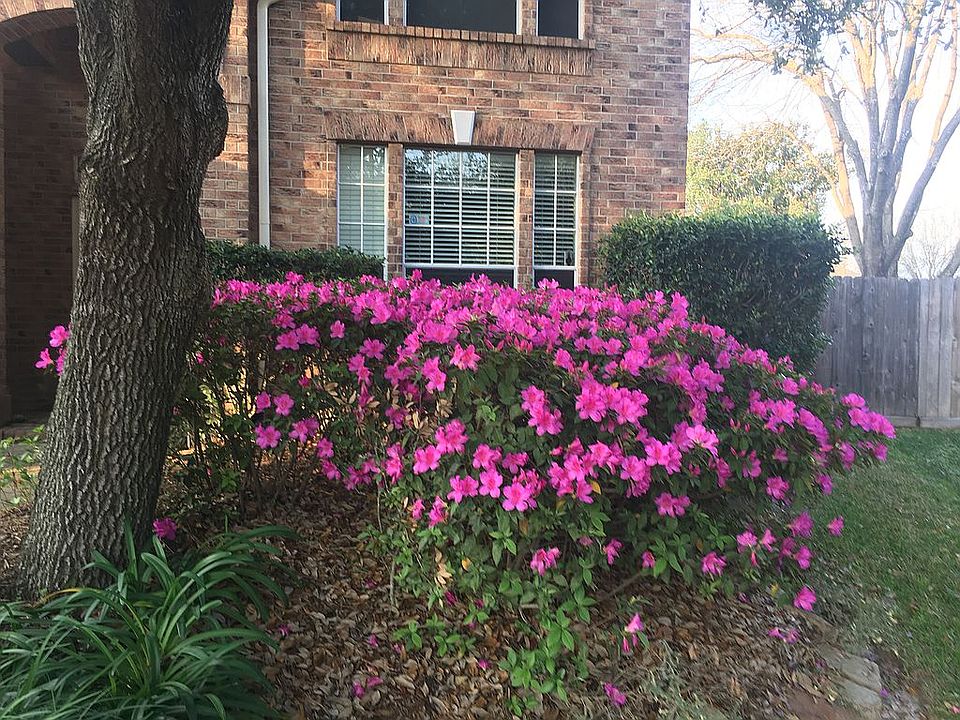2nd image of 12806 Dove Brook Ct