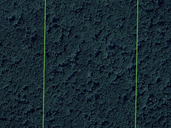 0 Locust Grove Rd, Desha, AR 72527