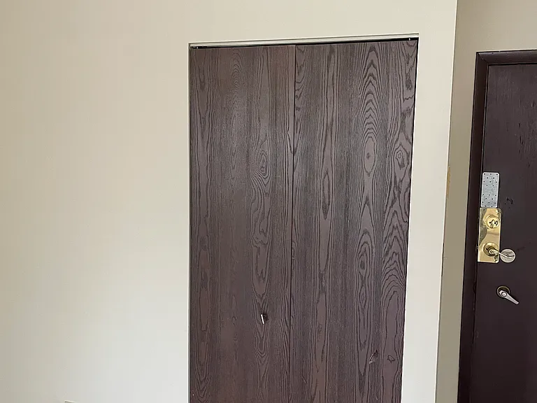 Living room closet