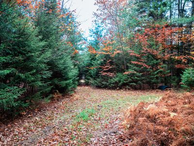 L4.123 Off Eminence Road, Summit, NY, 12175