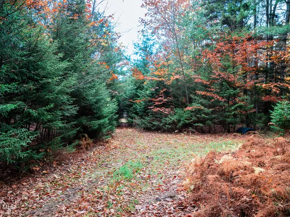 L4.123 Off Eminence Road, Summit, NY 12175