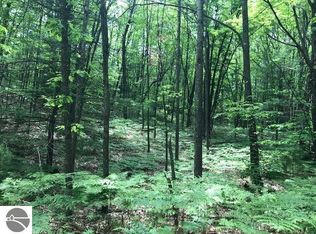 590 N 47 3/4 Rd, Manton, MI 49663