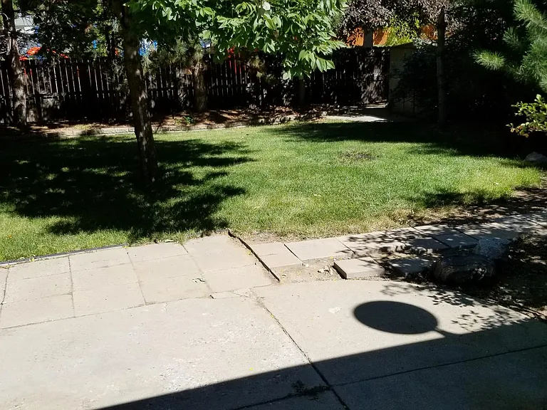 Fully fenced back yard with park behind.
