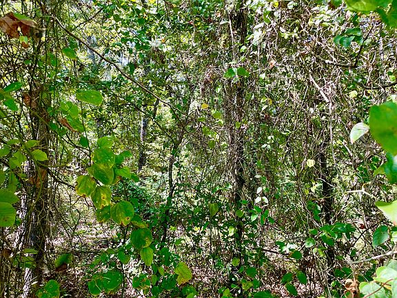 4th image of 0 Windy Point Rd Lot 11
