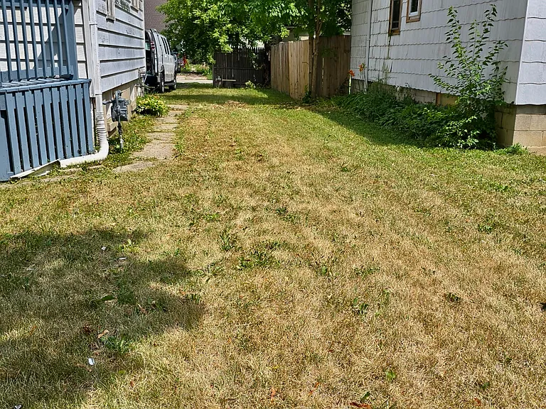 Yard