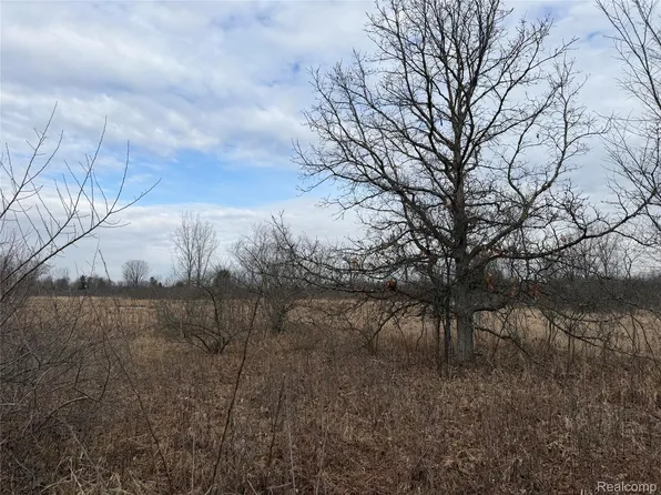 15193 Jeddo Rd, Brown City, MI 48416