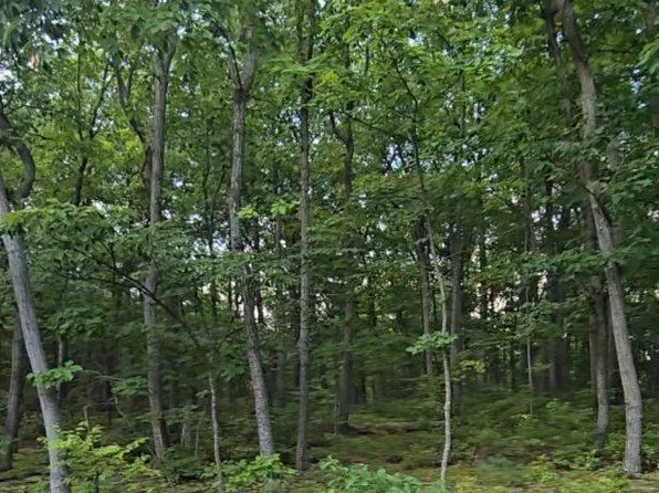 0 Cumberland Hwy, Newburg, PA 17240