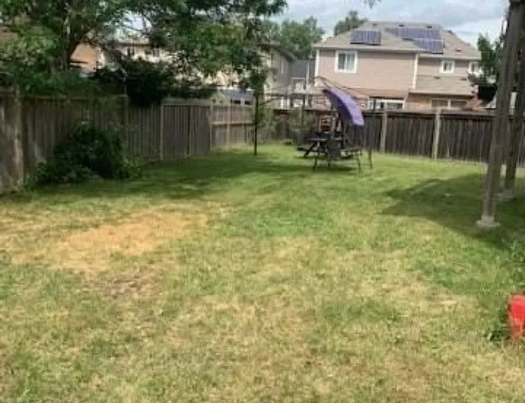 1156 Cotswold Ct — Photo 18