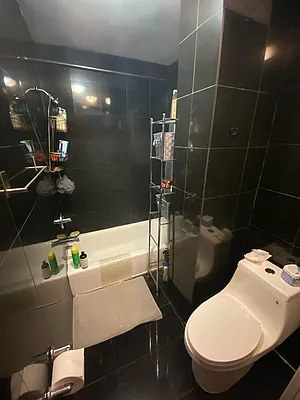 Rented by Manhattan Dwelling Corporation | media 18