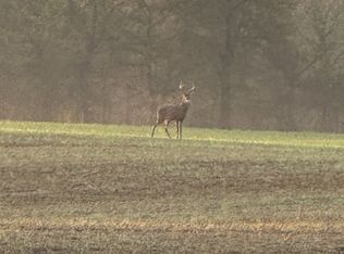 205 Pumpkin Valley Rd, Indian Mound, TN 37079