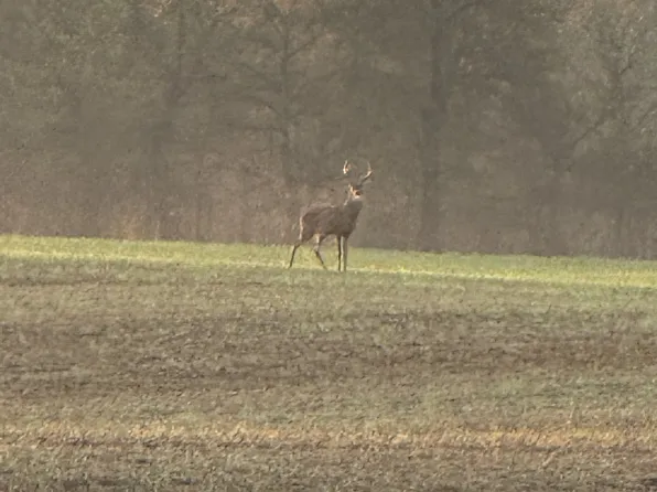 205 Pumpkin Valley Rd, Indian Mound, TN 37079