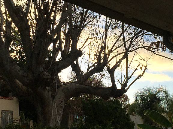 view from front porch