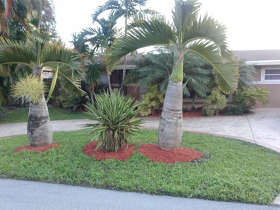 Fantastic 3/2 on lake!