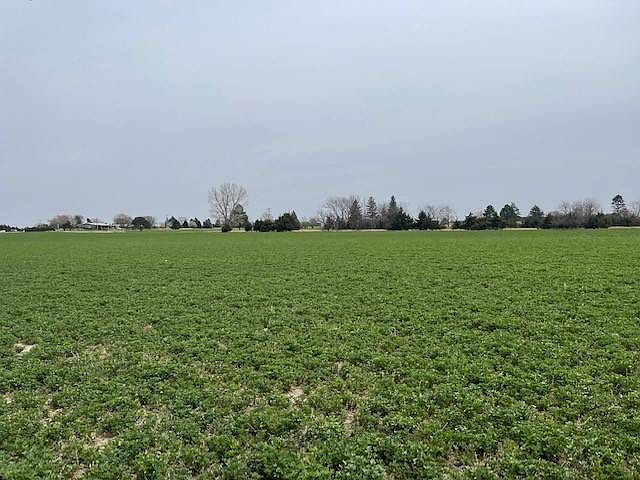 1st image of 1536 Birdie Dr