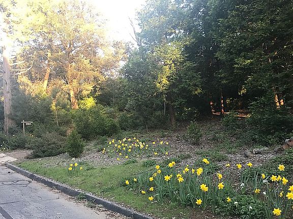 Driveway entry from street