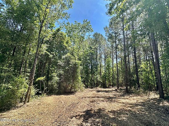 3rd image of 0 McNair Springs Rd