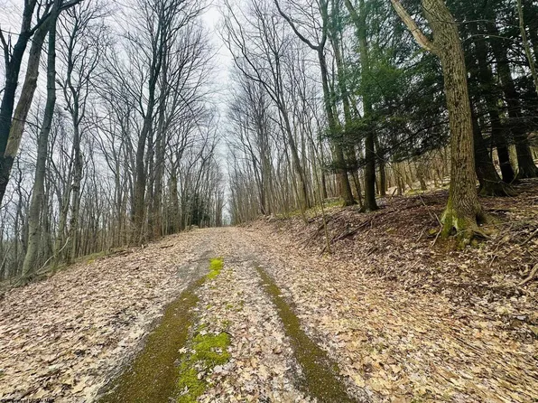 Bluebird Dr, Terra Alta, WV 26764
