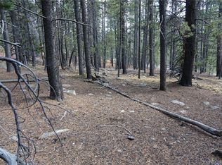 000 Loch Lomond Rd & Vista Rd, Idaho Springs, CO 80452