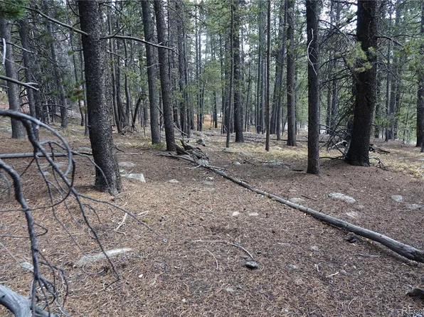 000 Loch Lomond Rd & Vista Rd, Idaho Springs, CO 80452