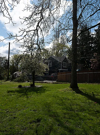 Side yard