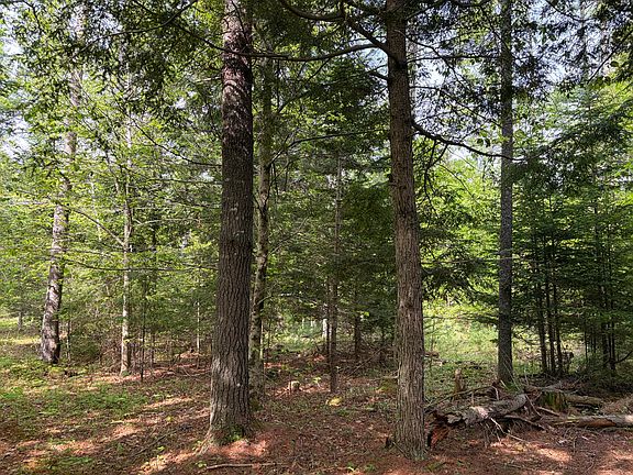 5th image of Lot 1 Waldoboro Road