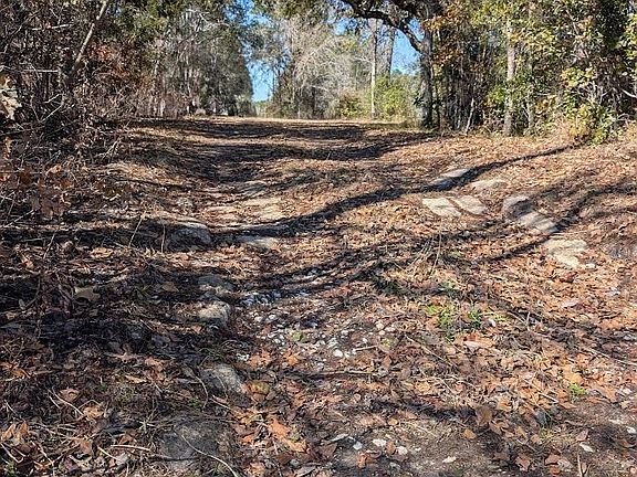 3rd image of 846-7B Hickory Hammock Rd