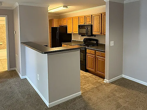 Floor plan 1 bed 1 bath