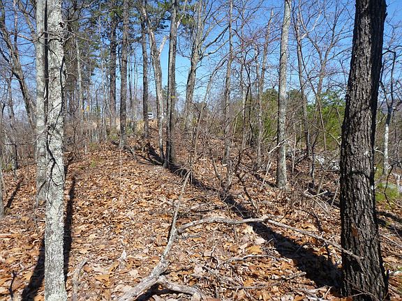 3rd image of 0 Allegheny Cove Way Lot 24A-R2