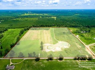 100 Shellie Rd, Seminary, MS 39479