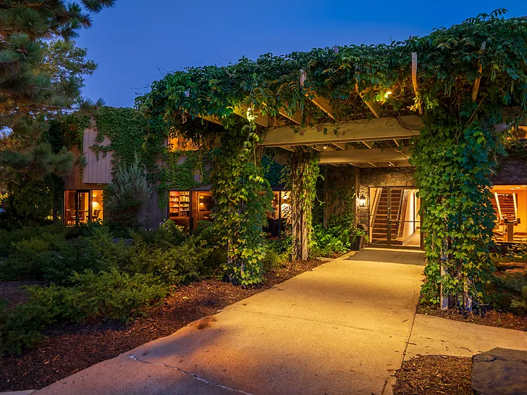 Vine covered trellis