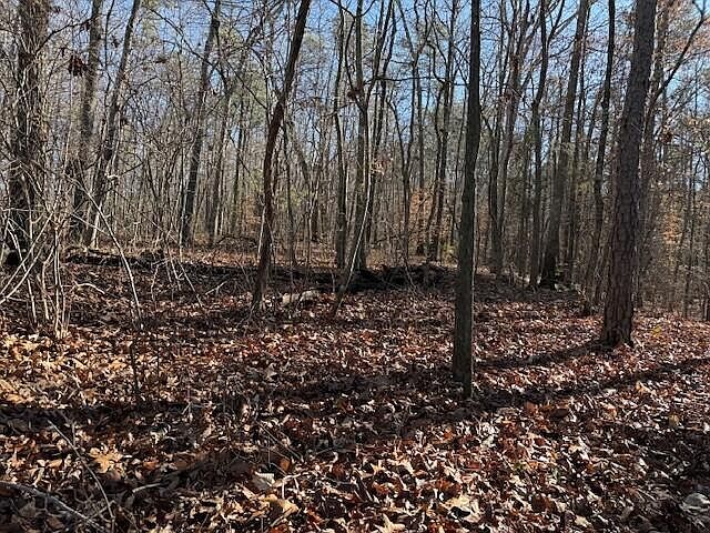1st image of 2 County Road 751 Lot 2