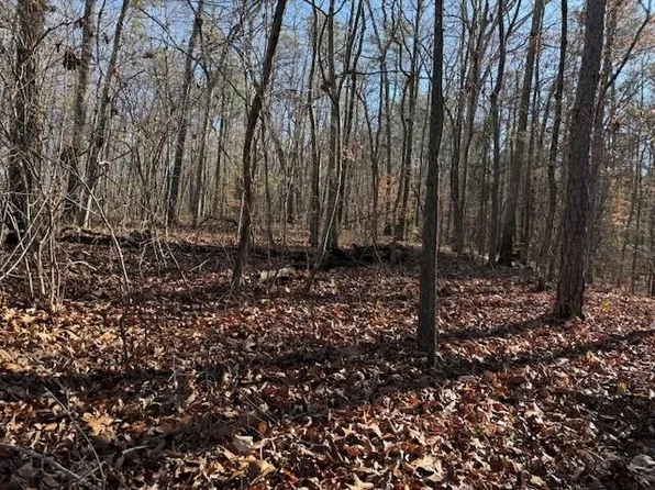 2 County Road 751 Lot 2, Valley Head, AL 35989