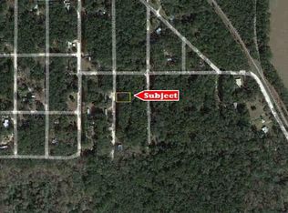 SW 81st Ter, Trenton, FL 32693