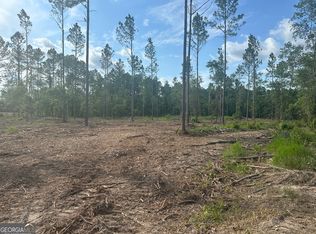 0 Dublin Bed Power Line Rd LOT 1, Pembroke, GA 31321