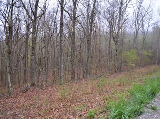 LOT 1C Overlook Trl, Spring City, TN 37381
