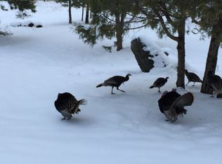 257 Snow Top Dr, Drake, CO 80515