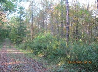 201 Cafferty Rd, Harpursville, NY 13787