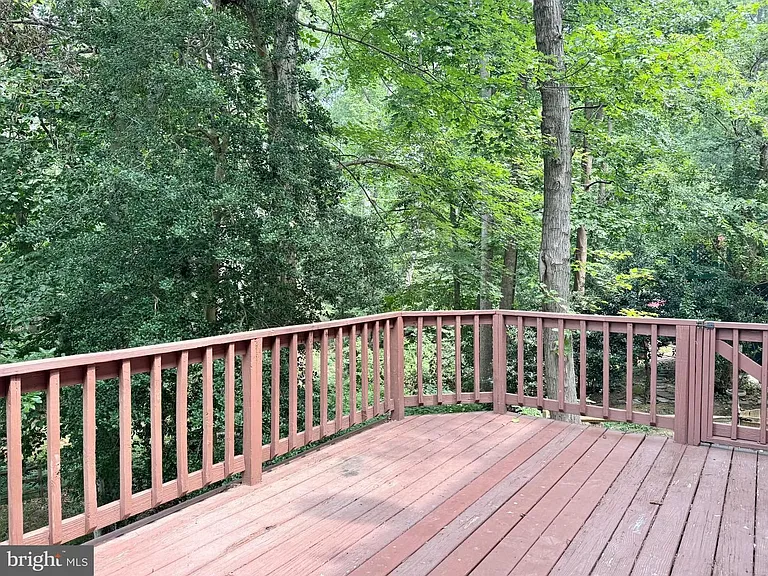 3302 Aquia Dr — Photo 8
