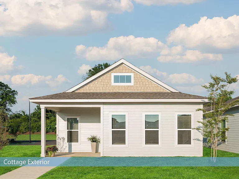 Heartsease at Shallotte — Photo 50