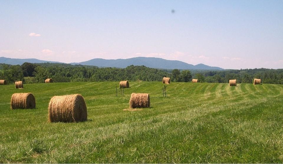 2nd image of 0 Pleasant Valley Ln