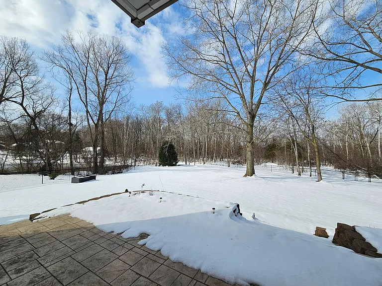 Stamped concrete patio and wooded backyard